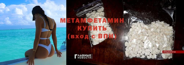 прущие грибы Горняк