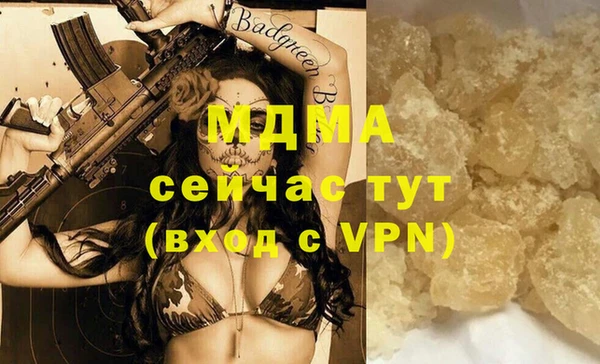 прущие грибы Горняк