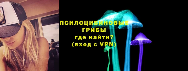дурь Горнозаводск