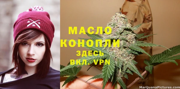 прущие грибы Горняк