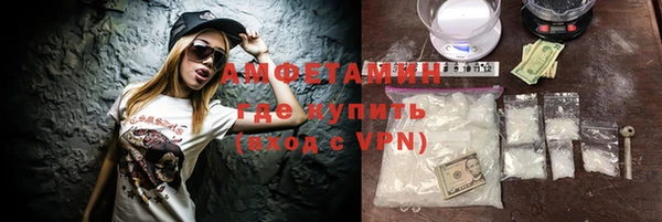 прущие грибы Горняк
