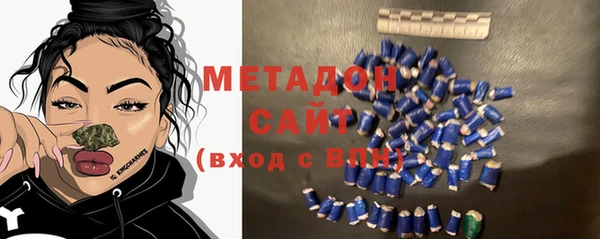 прущие грибы Горняк