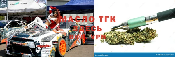 прущие грибы Горняк