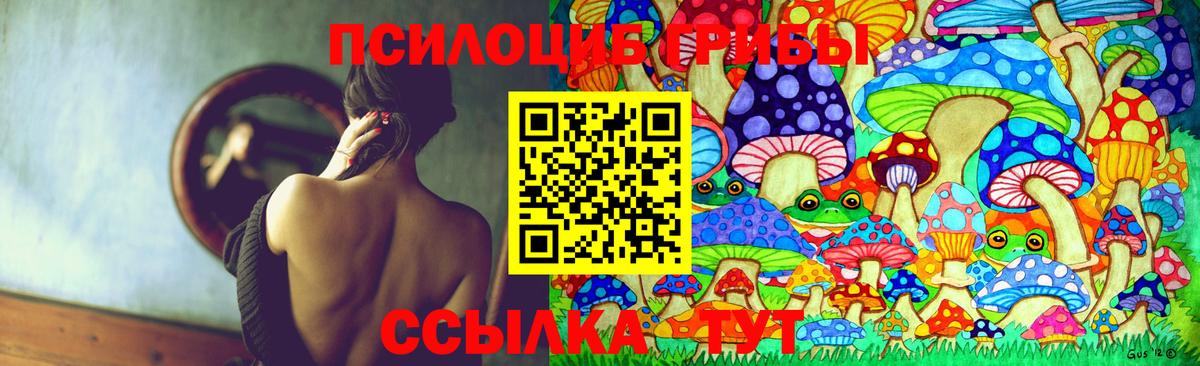 Псилоцибиновые грибы мухоморы  Галлюциногенные грибы мухоморы  Вход с VPN  Егорьевск 
